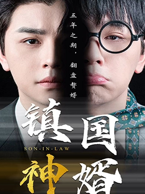 镇国神婿（御龙）全94集完结【热播短剧】