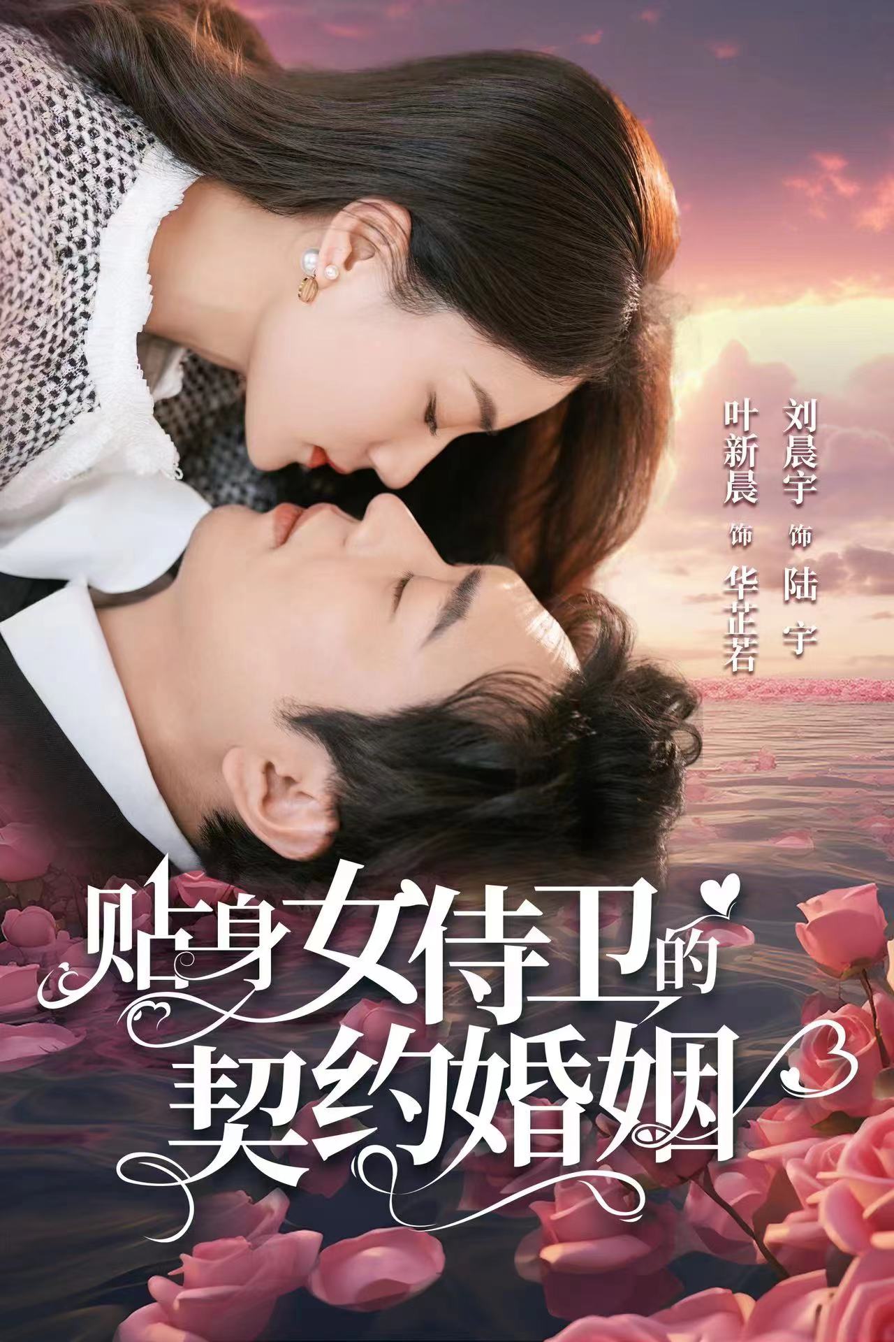贴身女侍卫的契约婚姻（全91集）