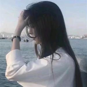 橘猫布丁