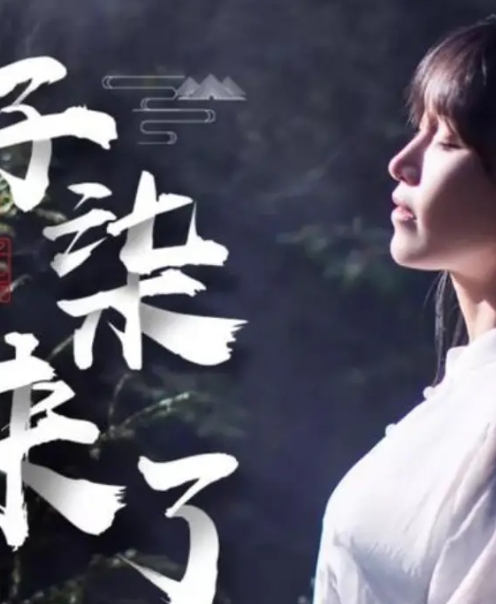 李子柒【高清视频合集】