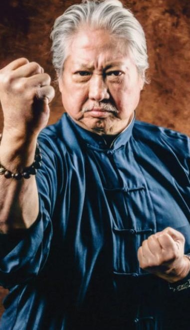 洪金宝经典影视作品合集【78部258GB】